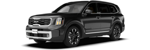Telluride en color Ebony Black