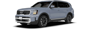 Telluride en color Everlasting Silver