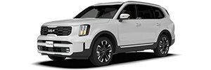 Telluride en color Glacial White Pearl